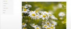 MOPy Gallery