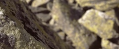 Macrogallery.com