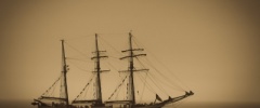 Bjelkegaard