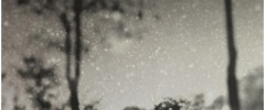 Menoevil Photography