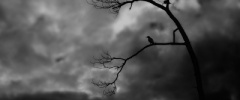 My Black&White