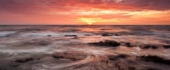 Martin Mattocks Photography