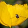 Dale Drechsler's Photography