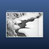 Ingve Moss Liknes Photo Gallery
